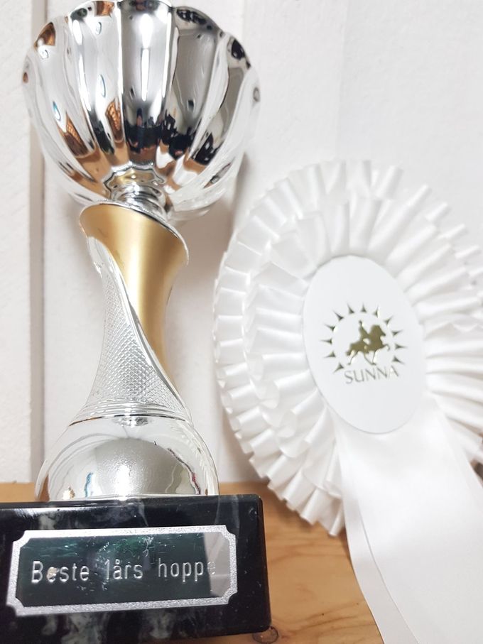 Nora - Beste 1 års hoppe 2017 Sunna