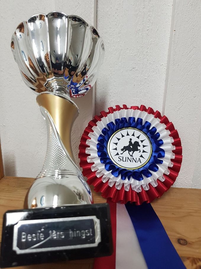Beste 1 års hingst 2017 Sunna