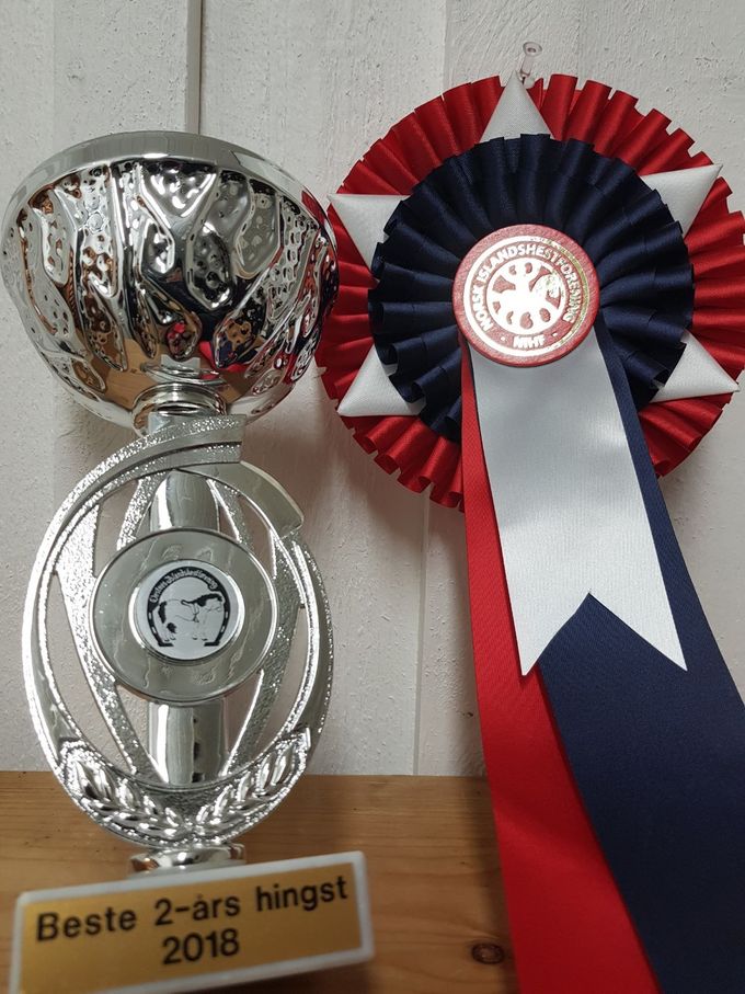Beste 2-års hingst 2018, Vestnes