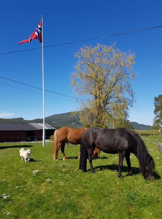 Nora (nærmest og sort)